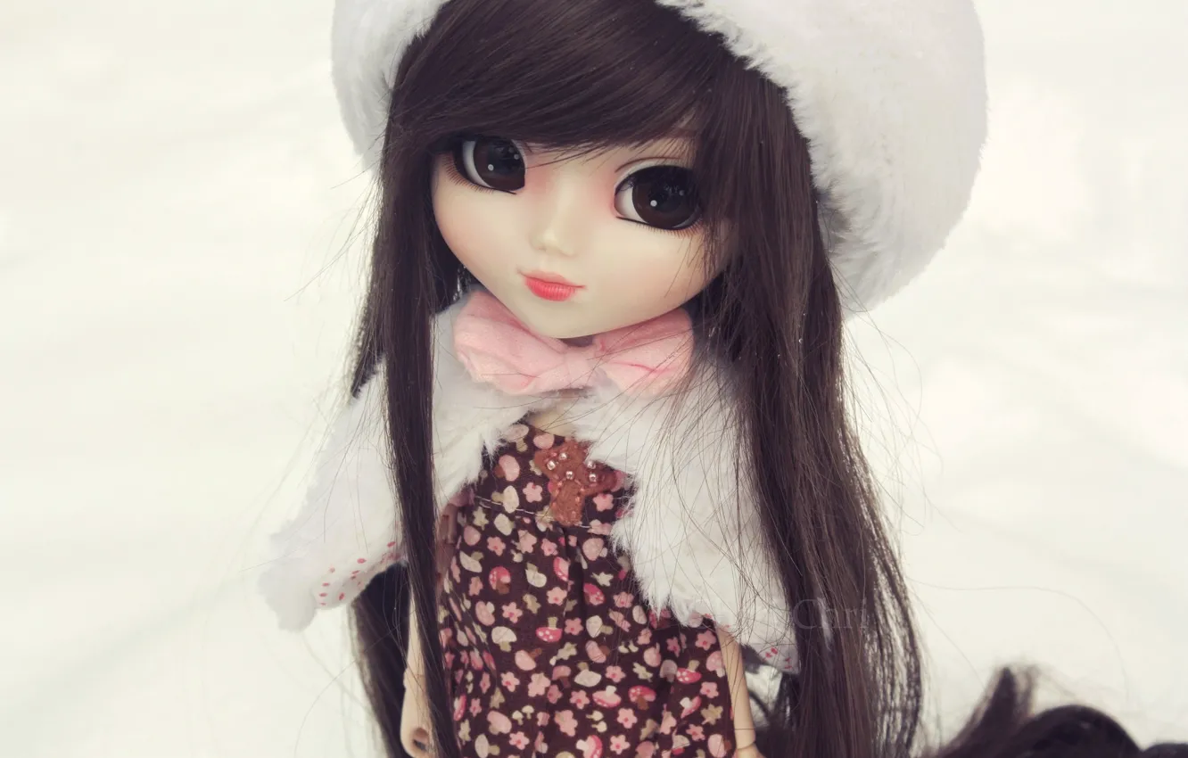 Photo wallpaper hat, toy, doll, brunette, white background
