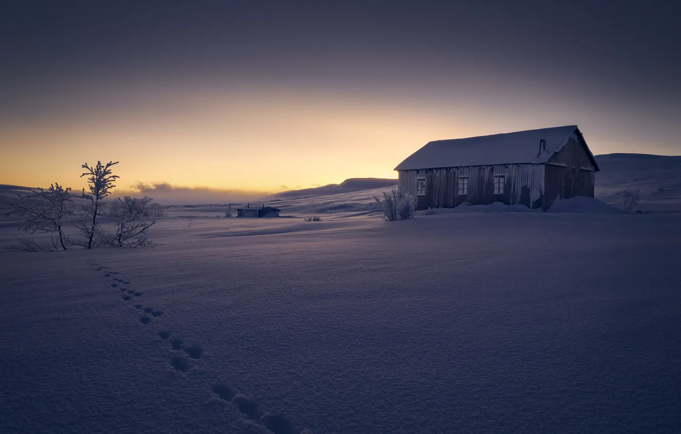 Photo wallpaper winter, night, home