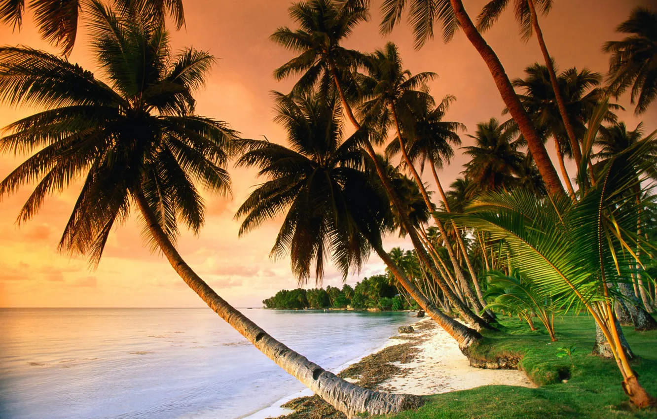 Photo wallpaper sand, sea, grass, sunset, palm trees, the ocean