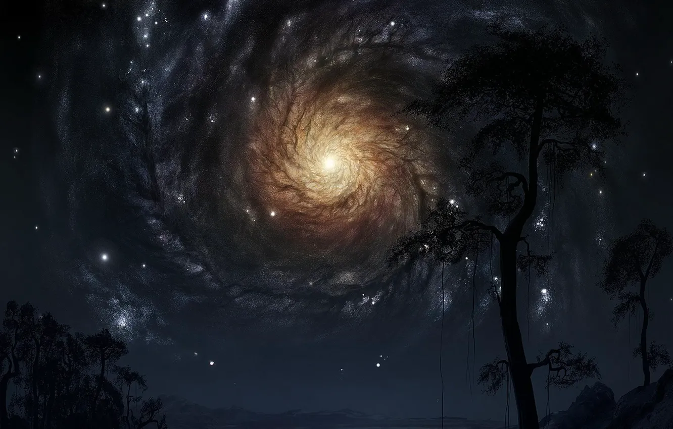 Photo wallpaper sky, tree, cosmos
