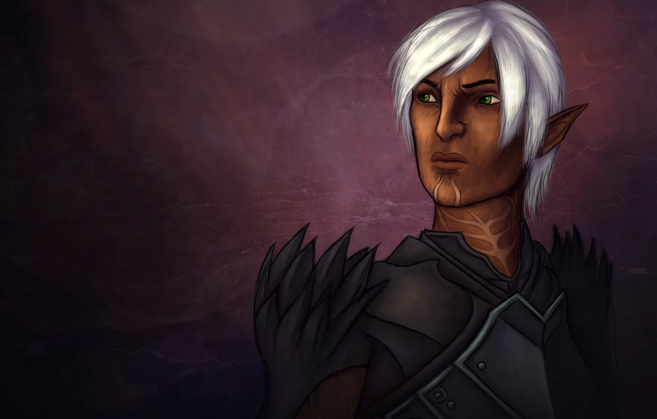 Photo wallpaper elf, warrior, Dragon Age, Fenris