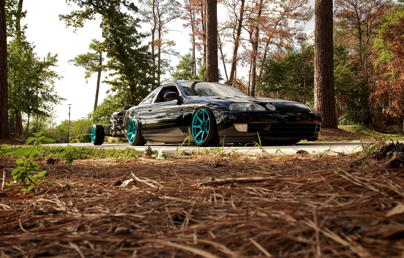 Photo wallpaper forest, trees, Lexus, moped, bike, the trailer, wood, Lexus