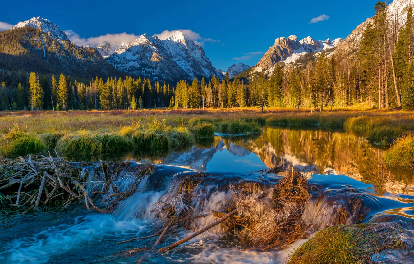 Photo wallpaper USA, Idaho, Sawtooth National Forest, beaver dam