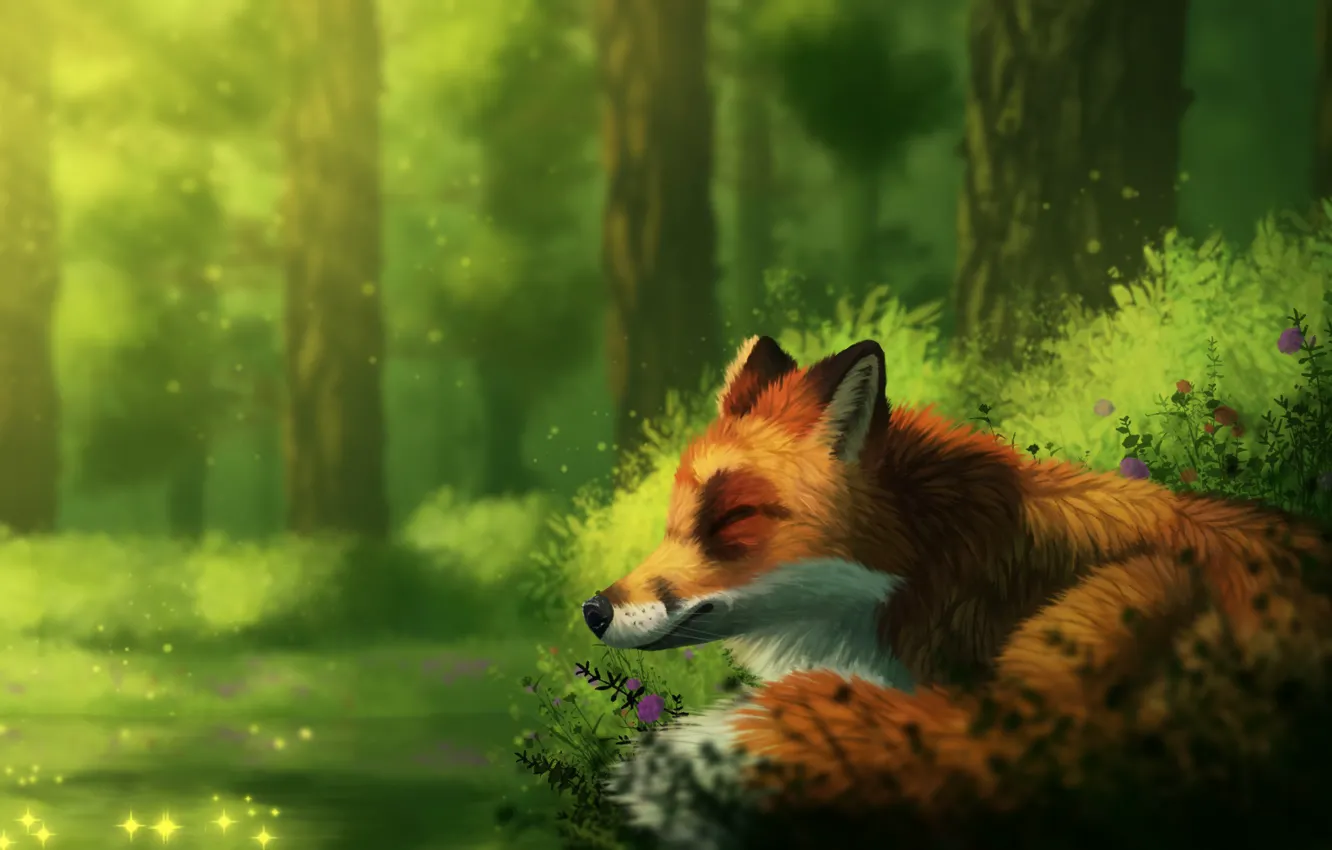 Photo wallpaper forest, nature, Fox, sleep, by CreeperMan0508