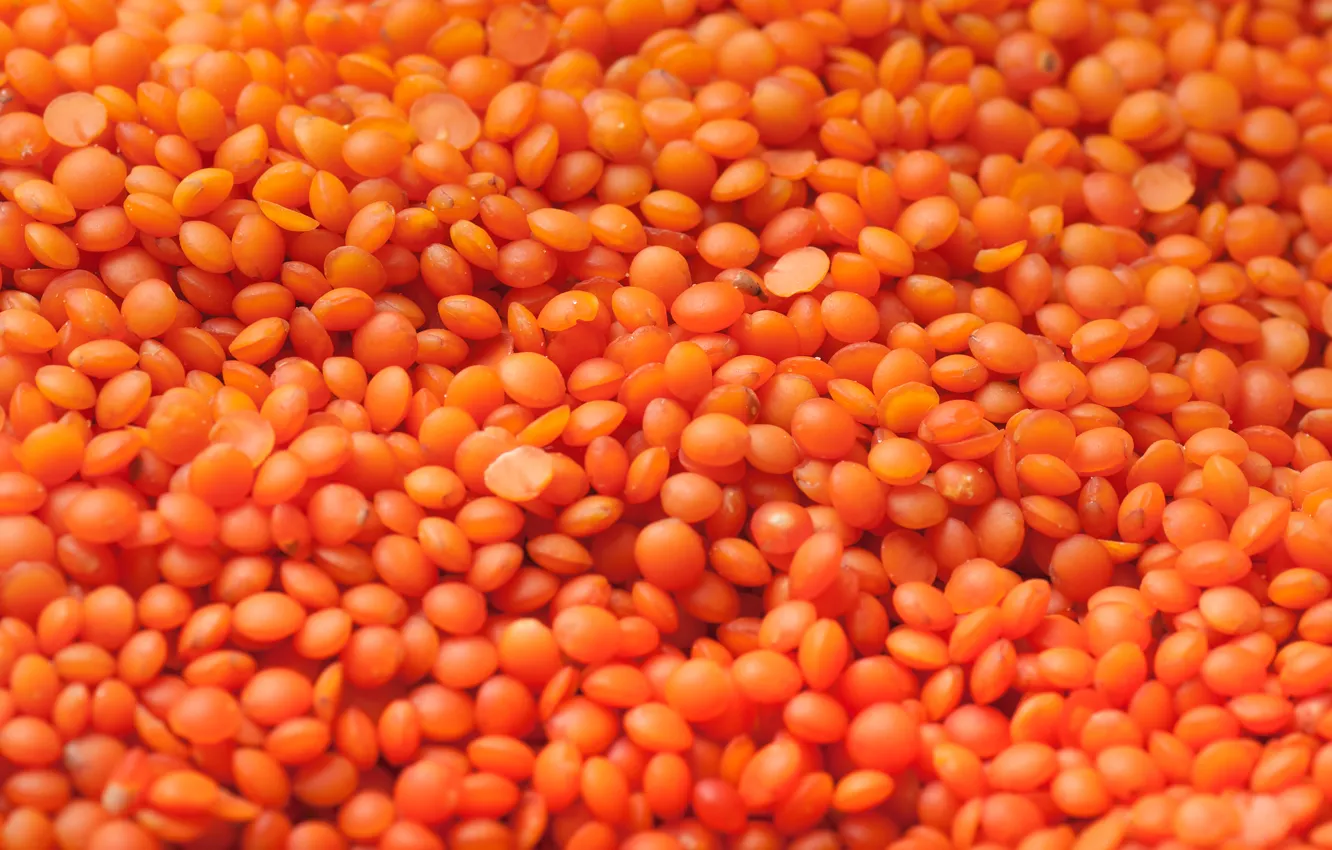 Photo wallpaper orange, seeds, lentils