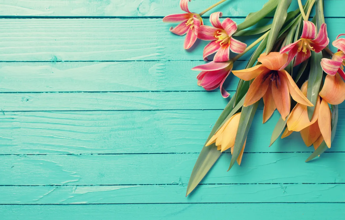 Photo wallpaper flowers, bouquet, tulips, wood, flowers, tulips, spring