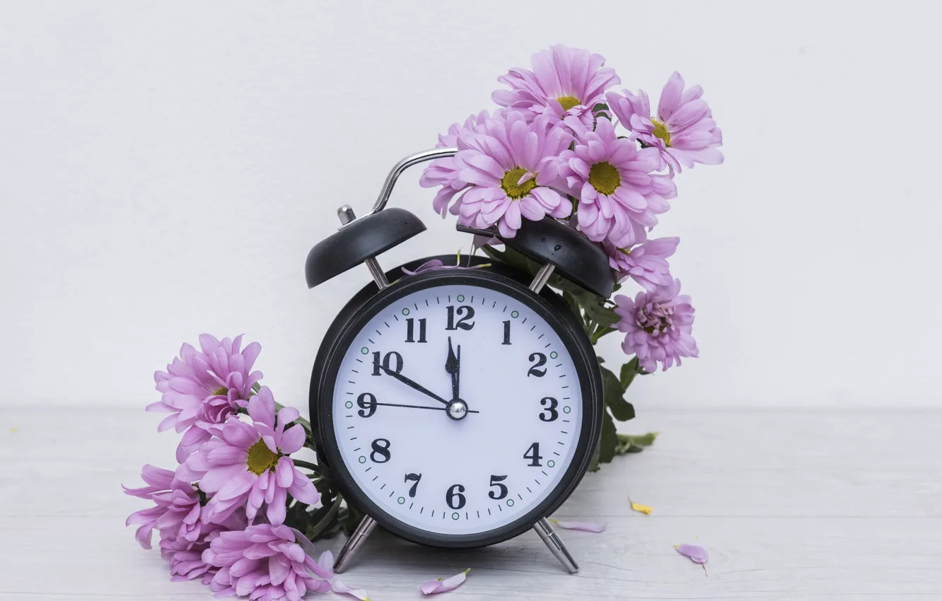 Photo wallpaper flowers, alarm clock, chrysanthemum