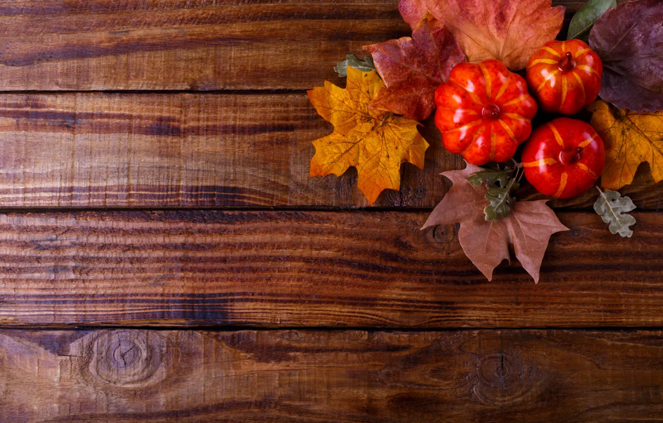 Photo wallpaper autumn, leaves, background, Board, colorful, pumpkin, maple, wood
