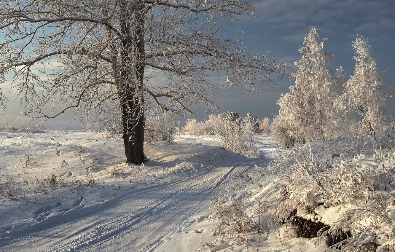 Photo wallpaper winter, road, snow, trees, landscape, nature, the bushes, Baikal region