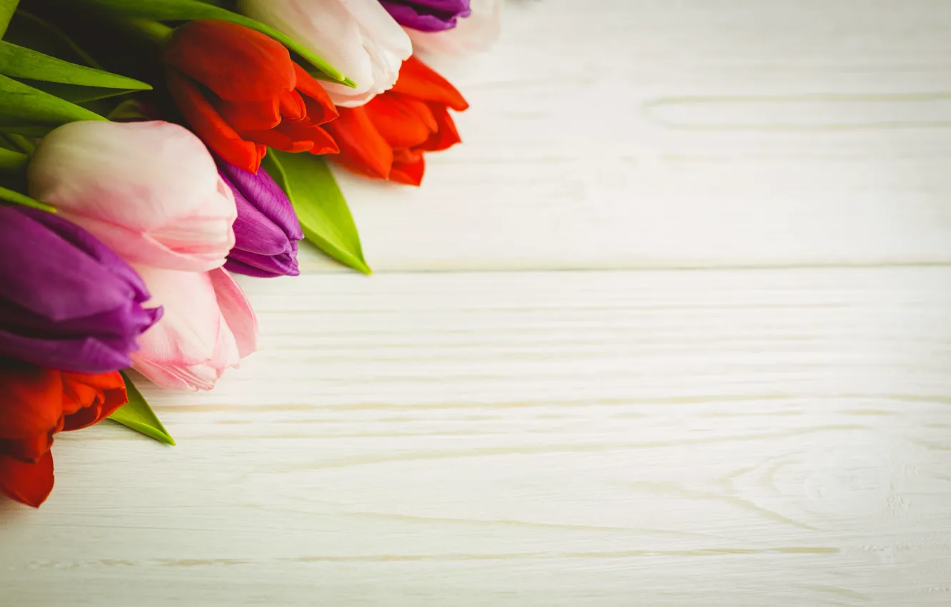 Photo wallpaper flowers, bouquet, colorful, tulips, red, white, wood, flowers