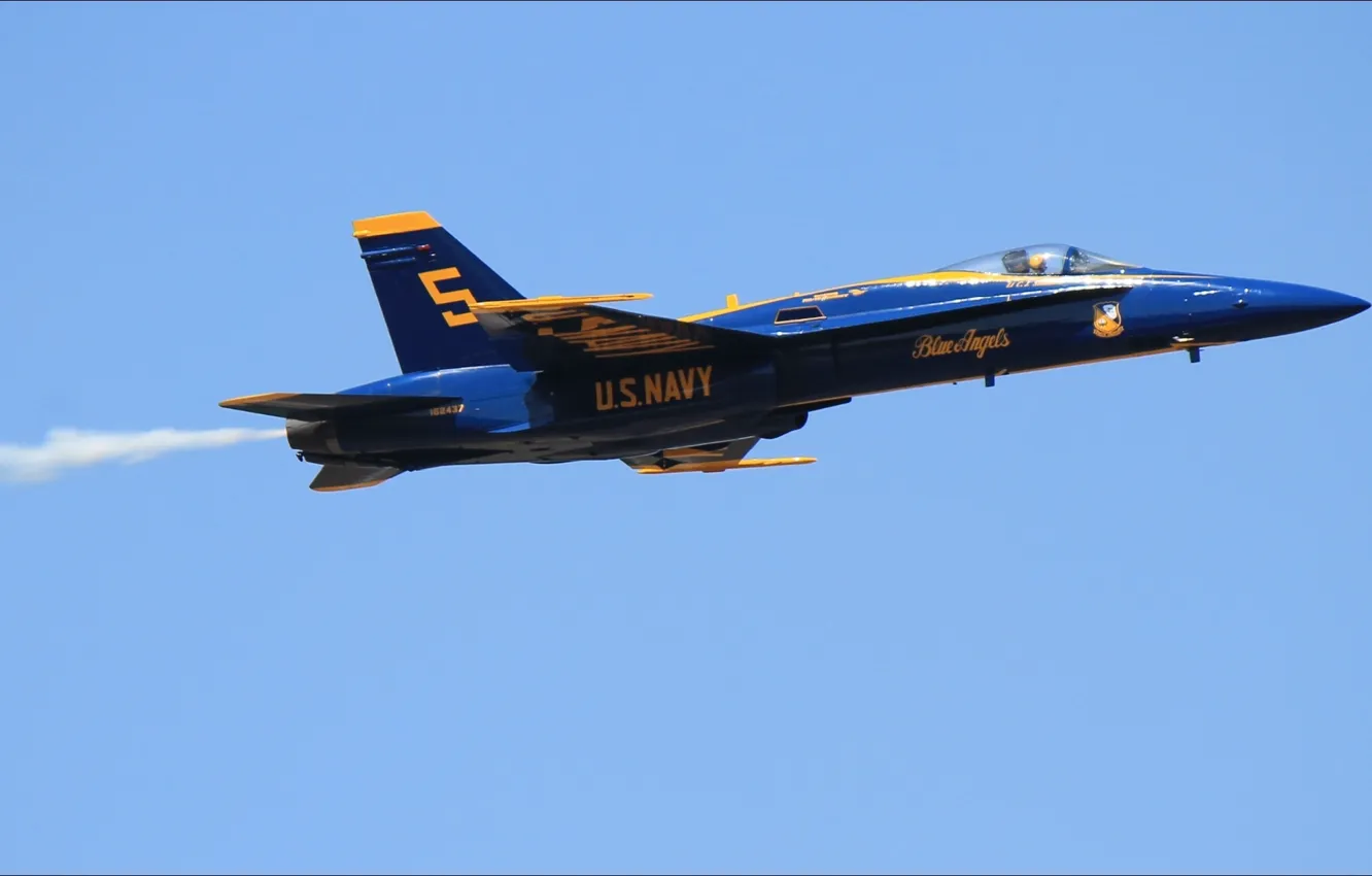 Photo wallpaper USA, sky, Air, wallpapers, five, Blue Angels