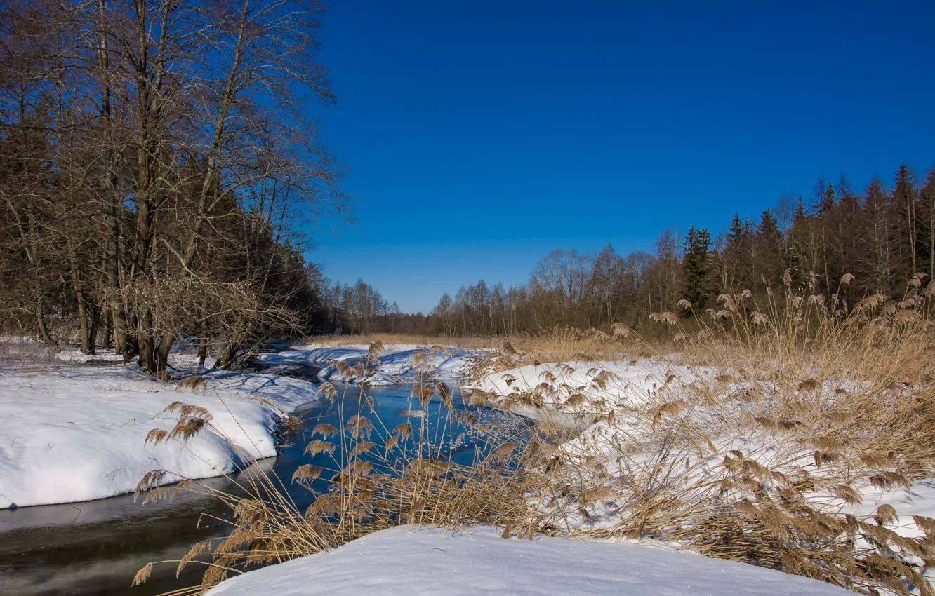 Photo wallpaper snow, nature, river, spring