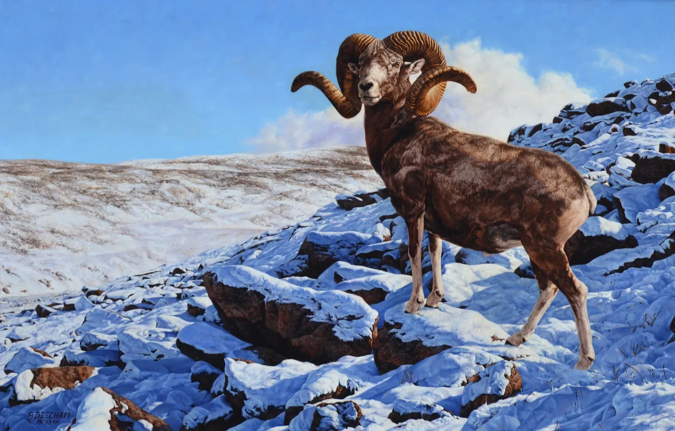 Photo wallpaper the sky, landscape, mountains, stones, picture, argali, argali, Beecham Greg