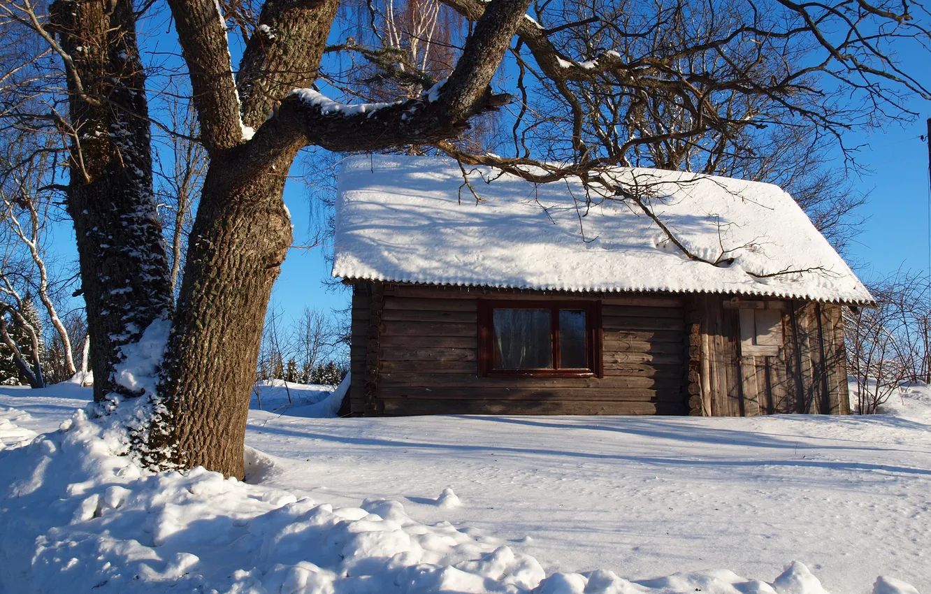 Photo wallpaper winter, the sky, snow, trees, slope, house