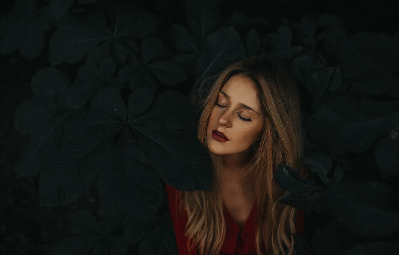 Photo wallpaper girl, foliage, portrait