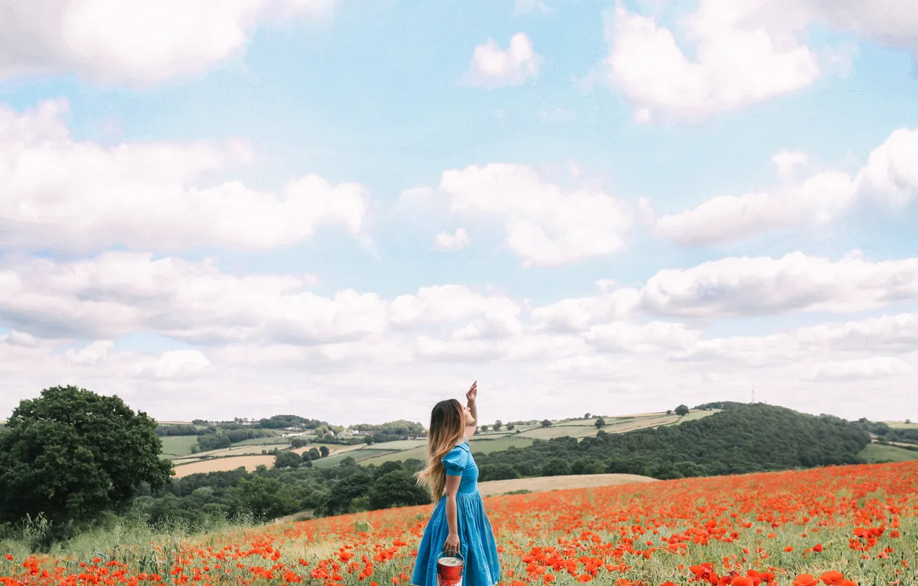 Photo wallpaper field, forest, summer, the sky, girl, clouds, trees, flowers