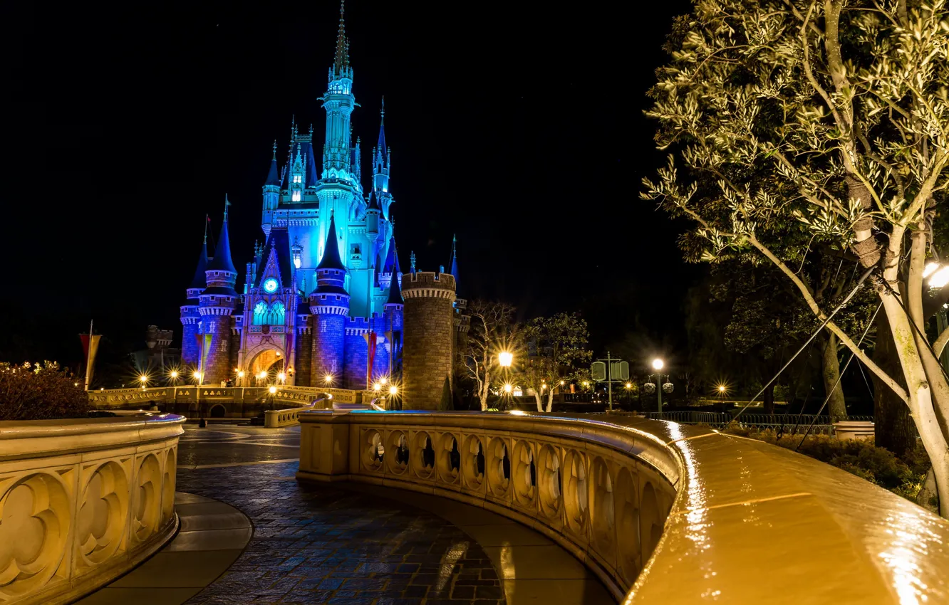 Photo wallpaper night, Castle, Park, Disney, Entertainments