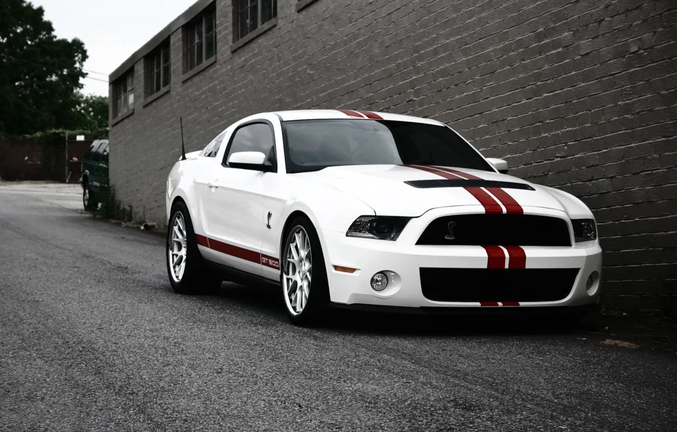 Photo wallpaper road, white, strip, wall, mustang, ford, shelby, gt500