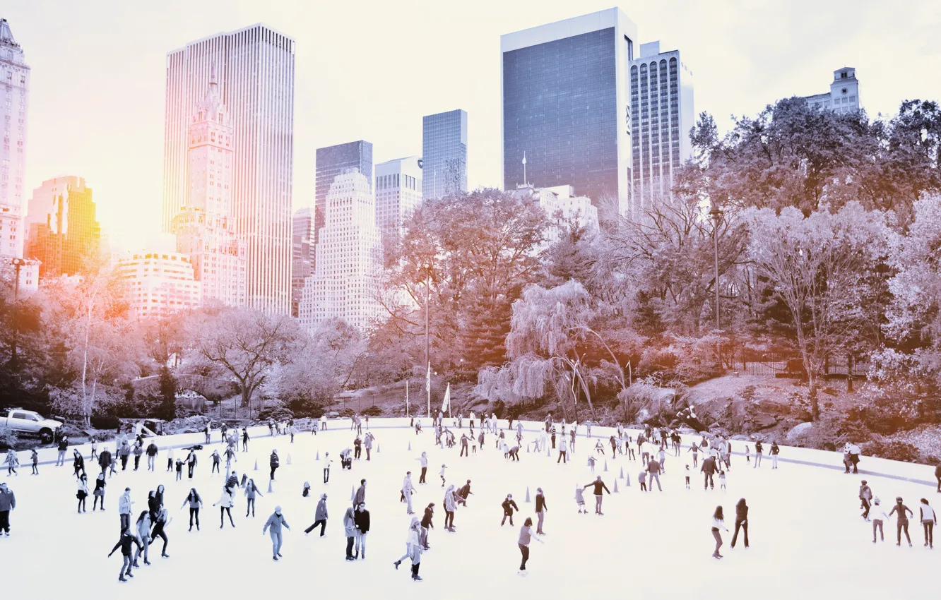 Photo wallpaper winter, trees, people, New York, skyscrapers, rink, USA, USA