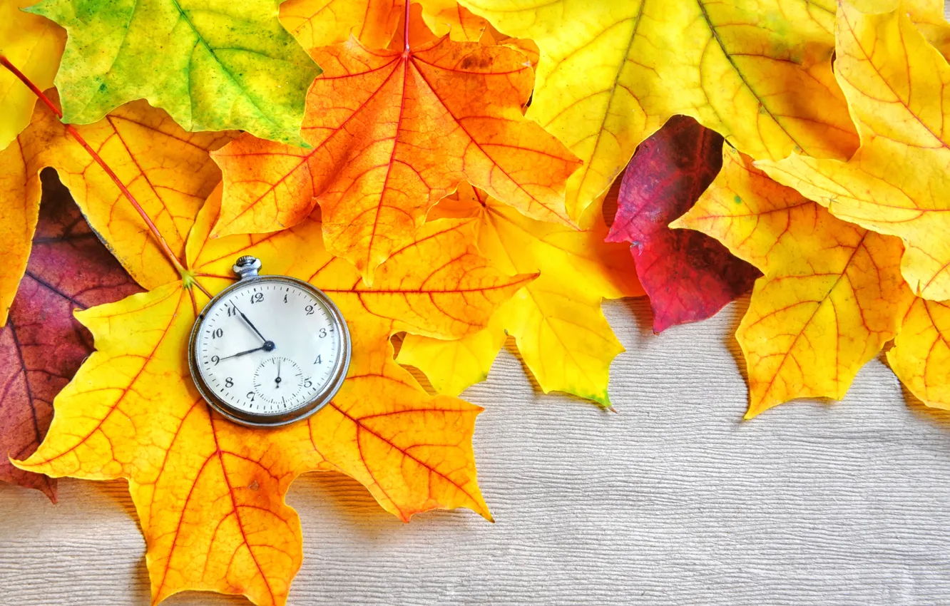 Photo wallpaper autumn, leaves, macro, photo, pocket watch