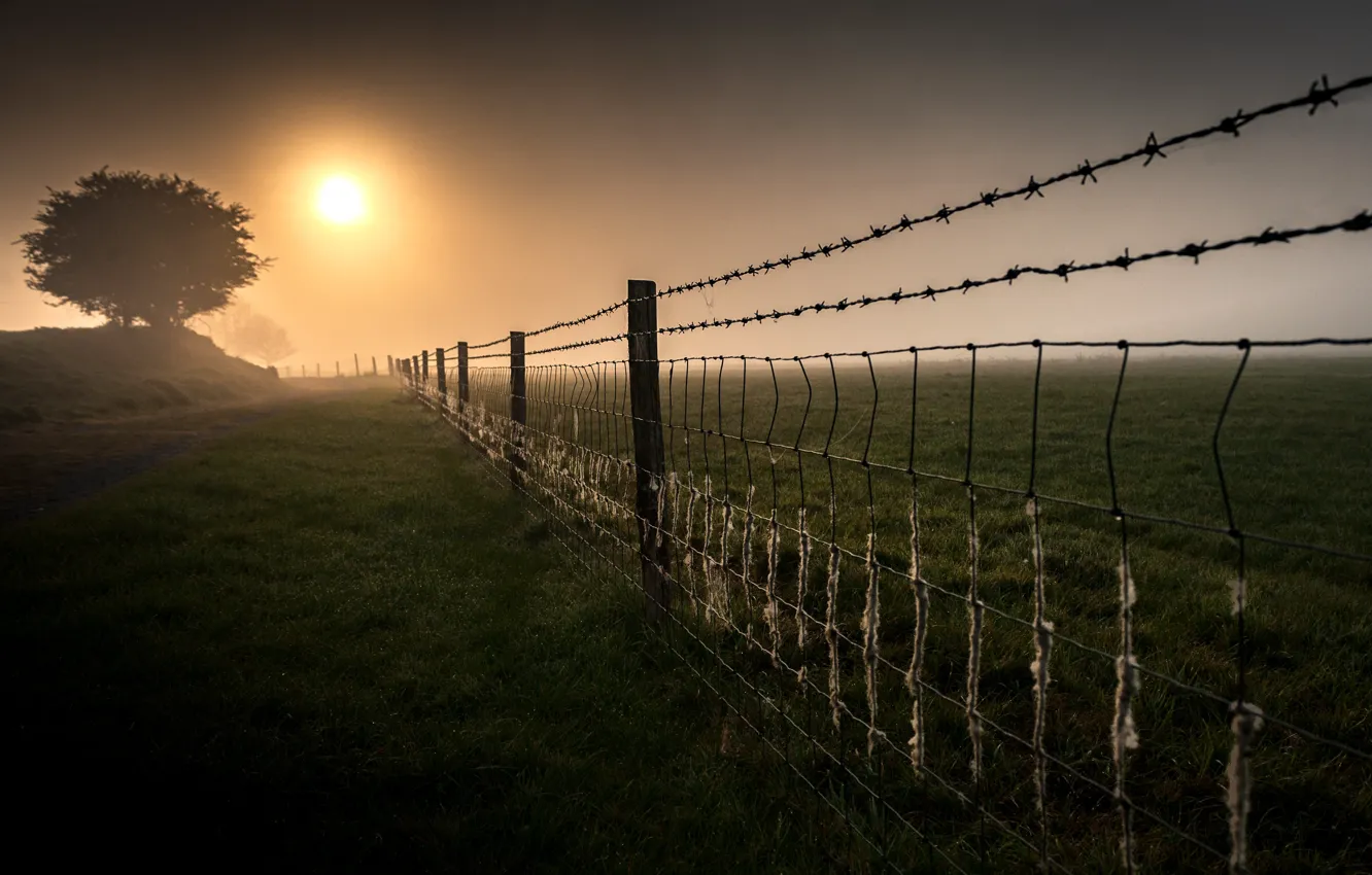Photo wallpaper field, fog, the fence