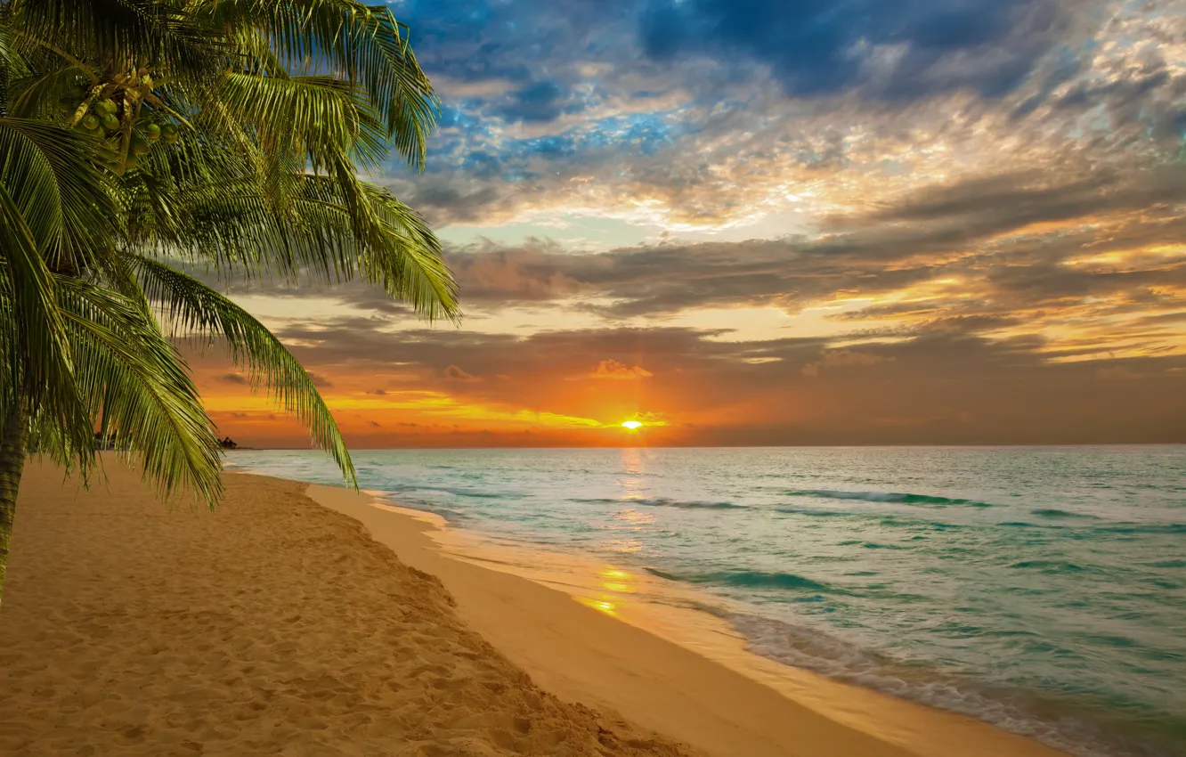 Photo wallpaper sand, sea, beach, sunset, palm trees, shore, beach, sea