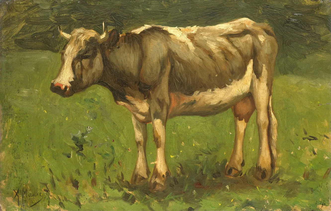 Photo wallpaper oil, picture, cows, 1888, Anton Mauve, Anton Mauve