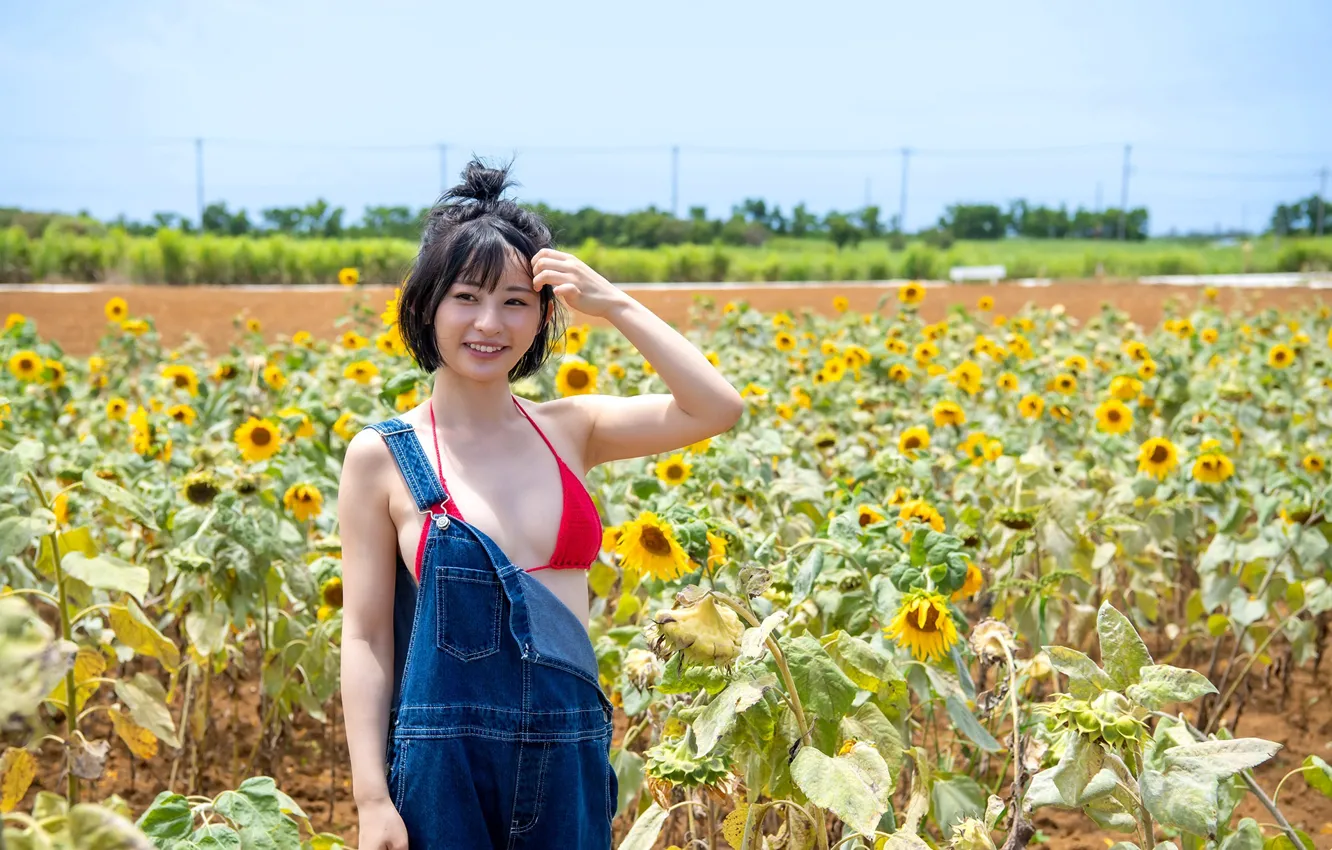 Photo wallpaper woman, smile, model, asian, sunflower, japanese, outdoor, Shorthair