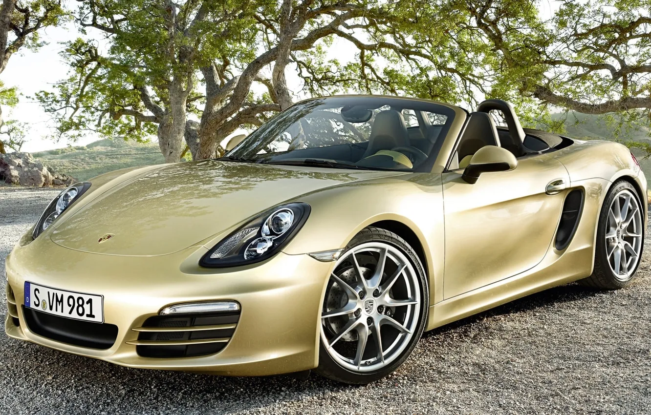Photo wallpaper trees, branches, Porsche, Porsche, Golden, gravel, Boxster, the front