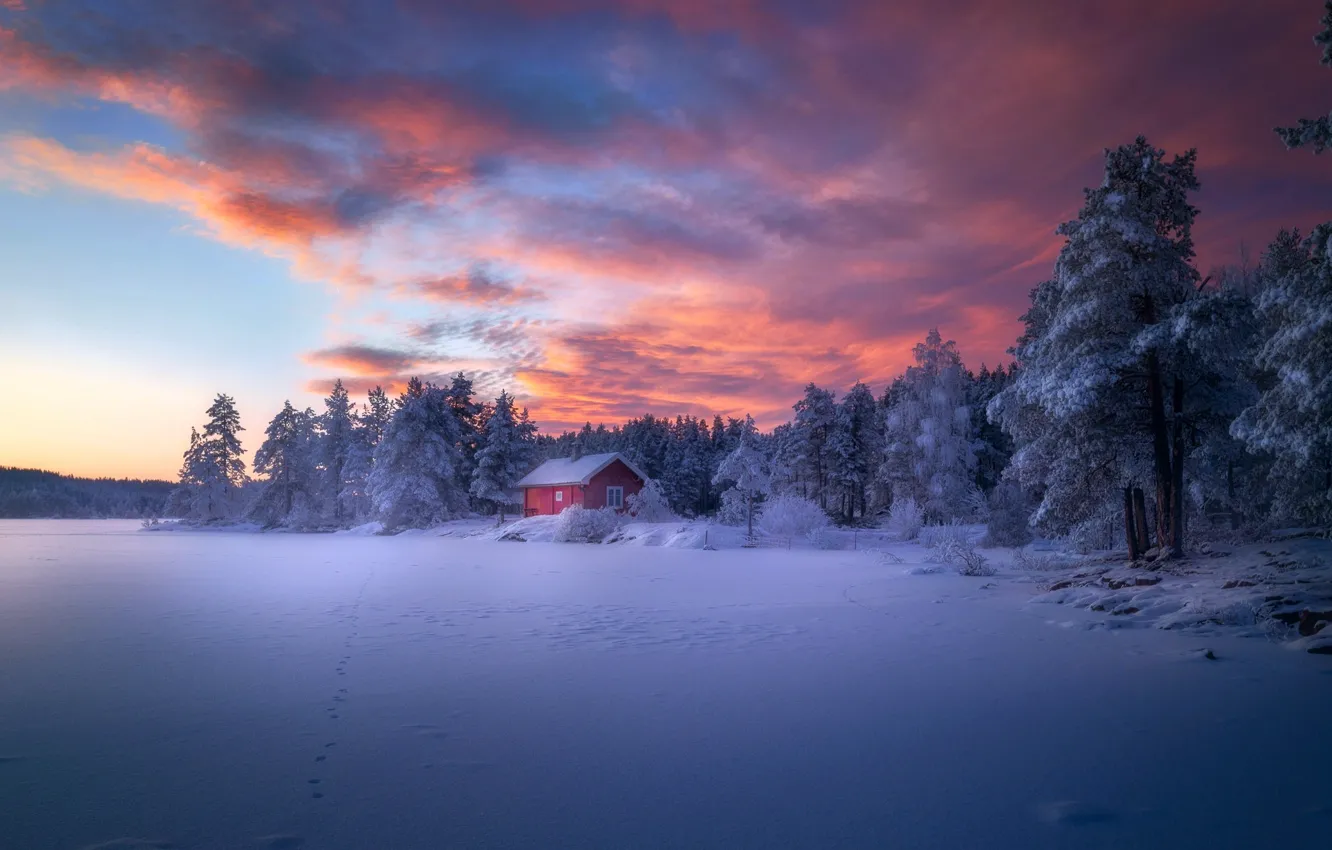 Photo wallpaper winter, forest, the sky, snow, house, paint, house