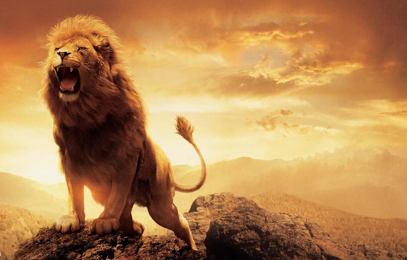 Photo wallpaper Leo, lion, The Chronicles Of Narnia, Aslan, The Chronicles of Narnia, Aslan
