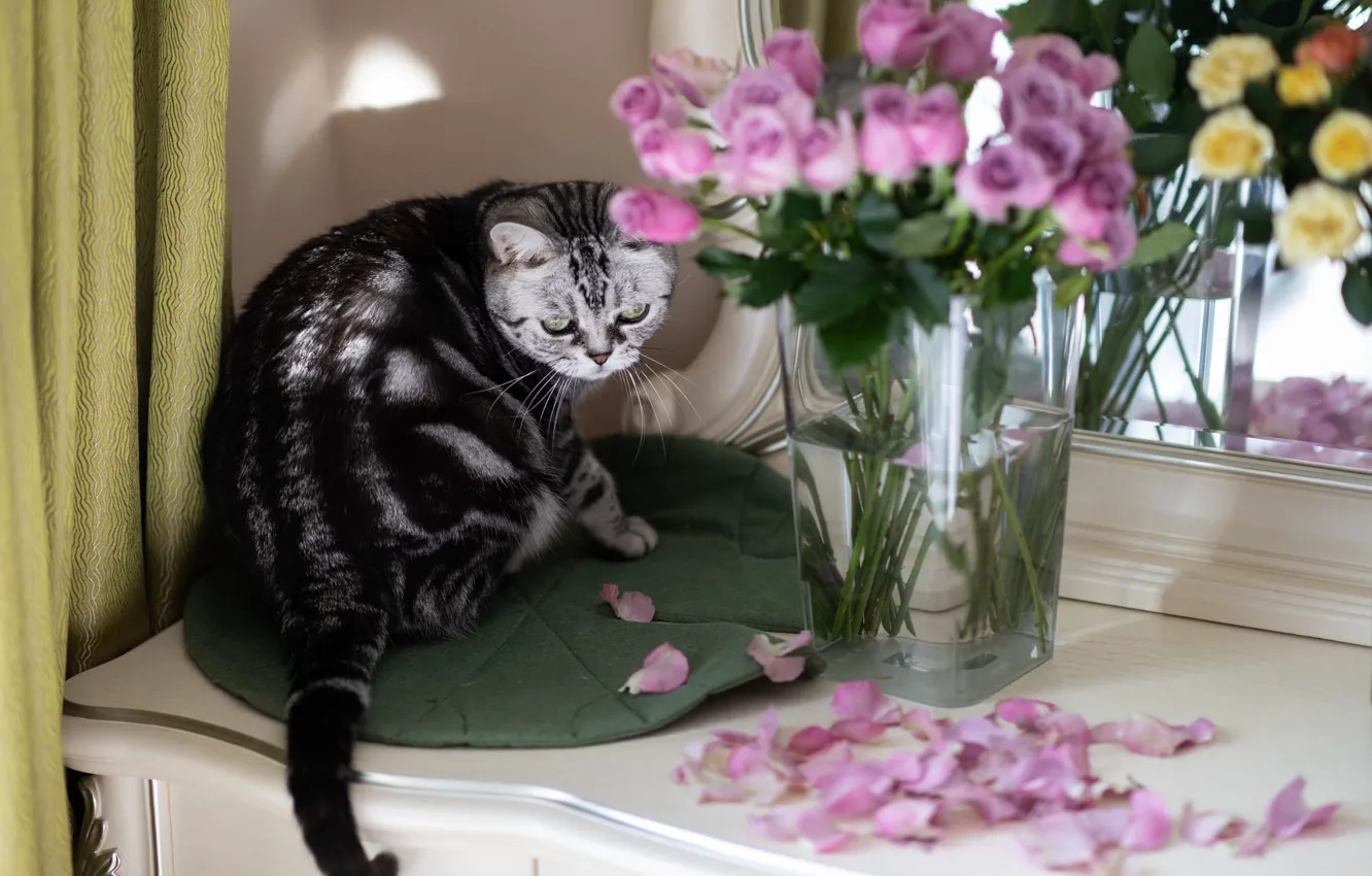 Photo wallpaper cat, cat, light, flowers, pose, grey, roses, bouquet