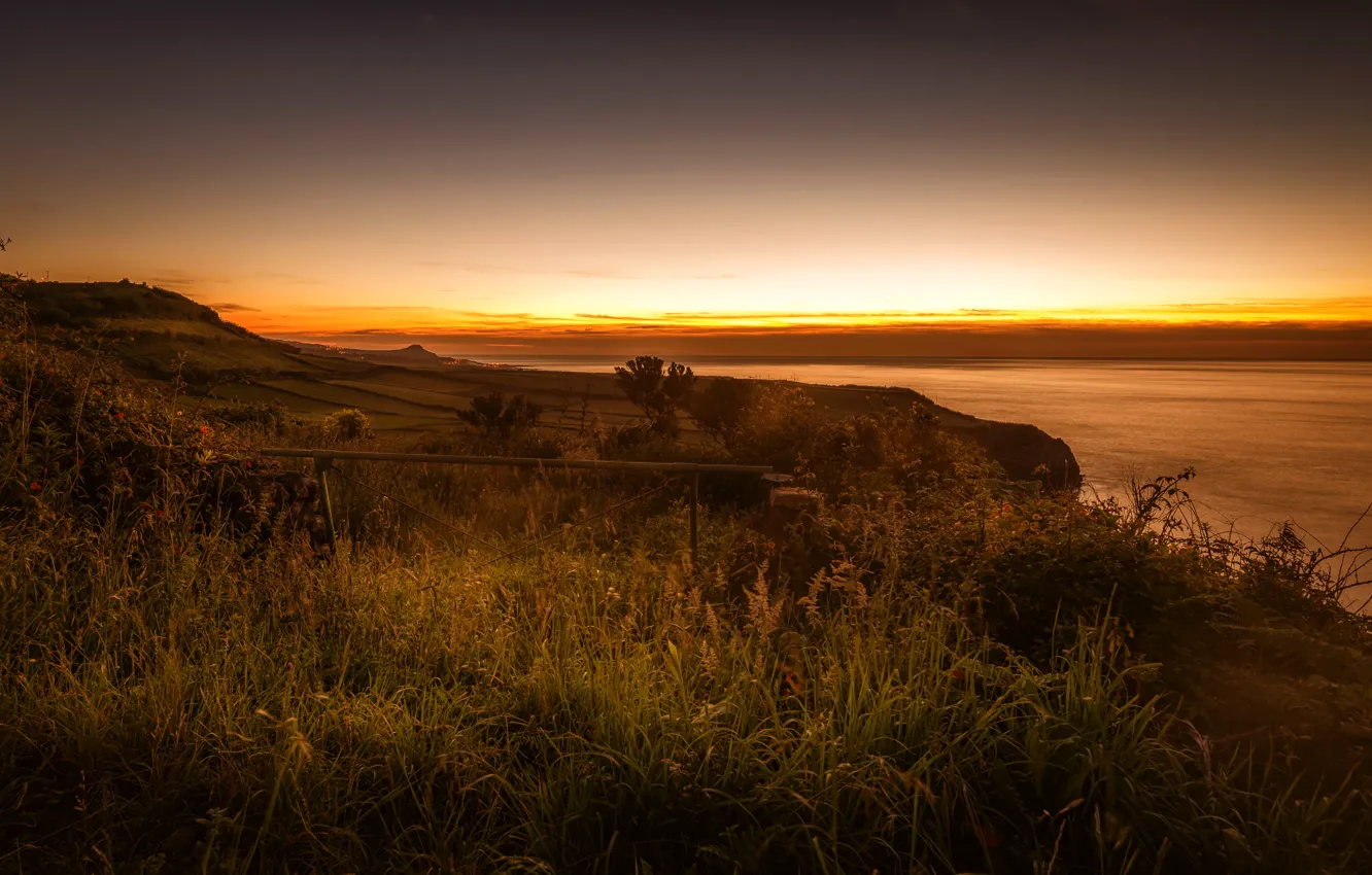 Photo wallpaper sea, field, the sky, grass, sunset, lights, coast, horizon