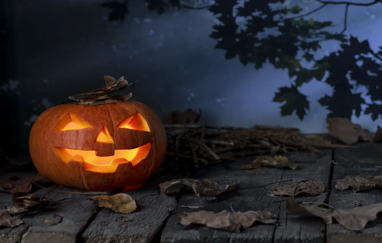 Photo wallpaper autumn, leaves, Halloween, pumpkin, Halloween, autumn, leaves, pumpkin