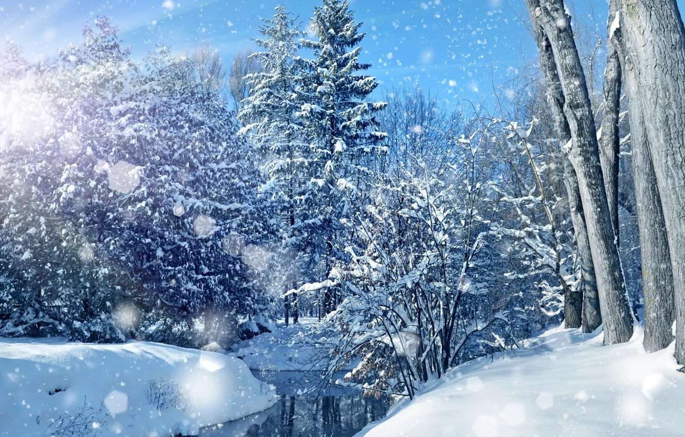 Photo wallpaper winter, forest, the sky, water, the sun, snow, trees, snowflakes