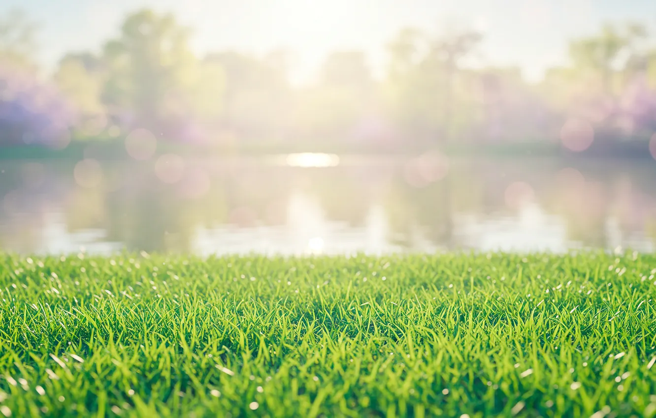 Photo wallpaper the sun, lake, glare, Wallpaper, spring, wallpaper, lawn, lake