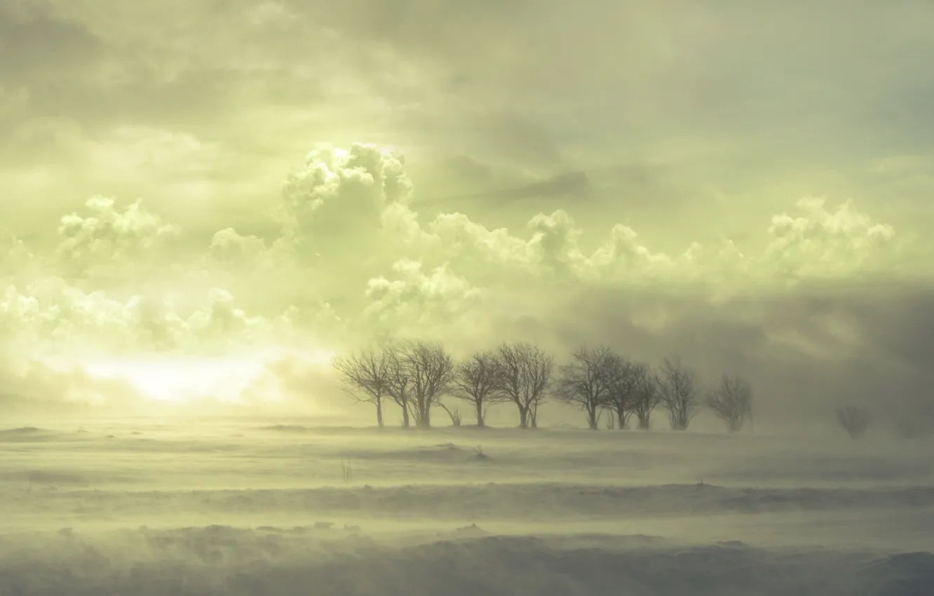 Photo wallpaper clouds, snow, Trees