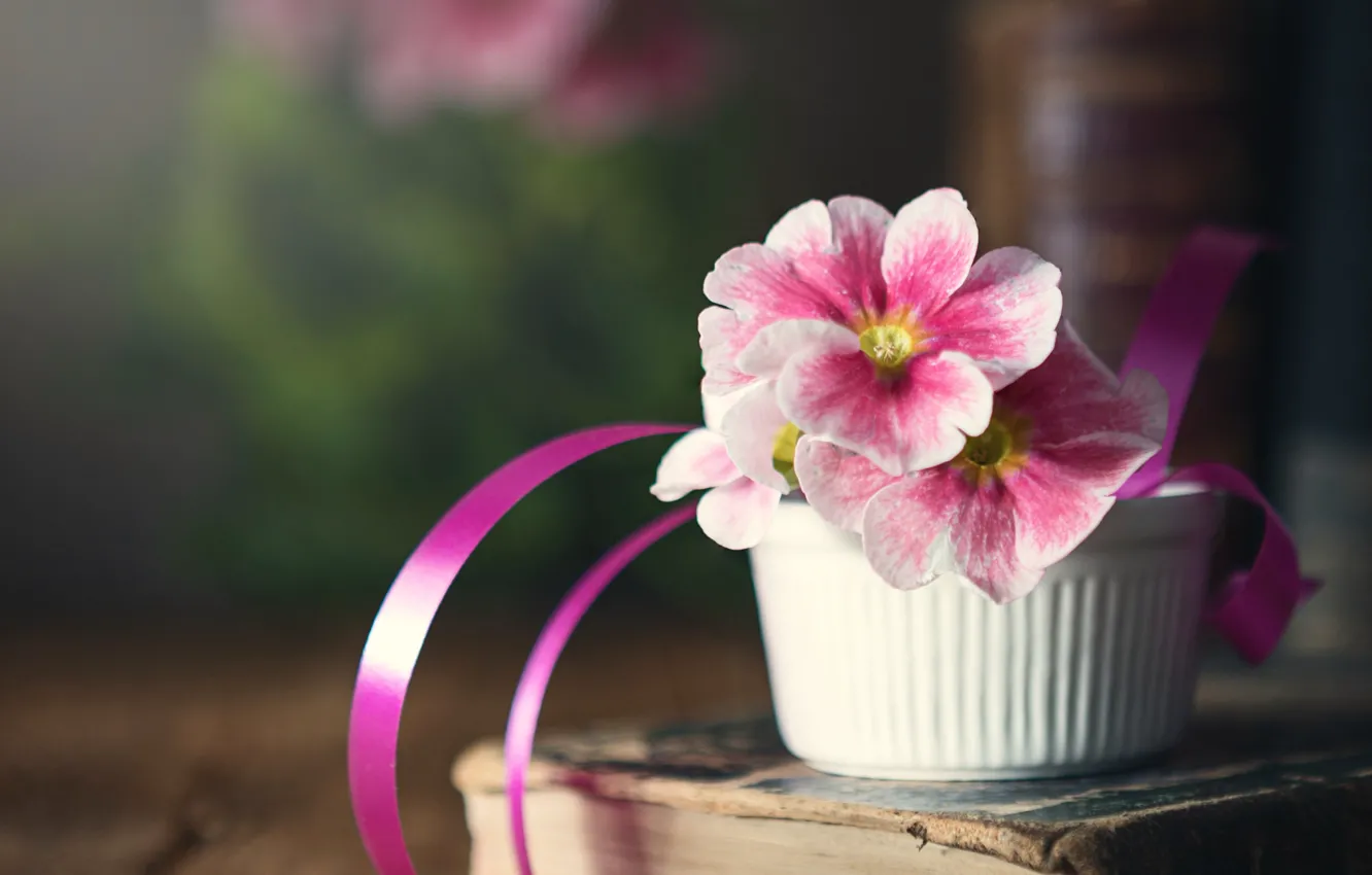 Photo wallpaper flowers, Board, book, ribbon, the mold