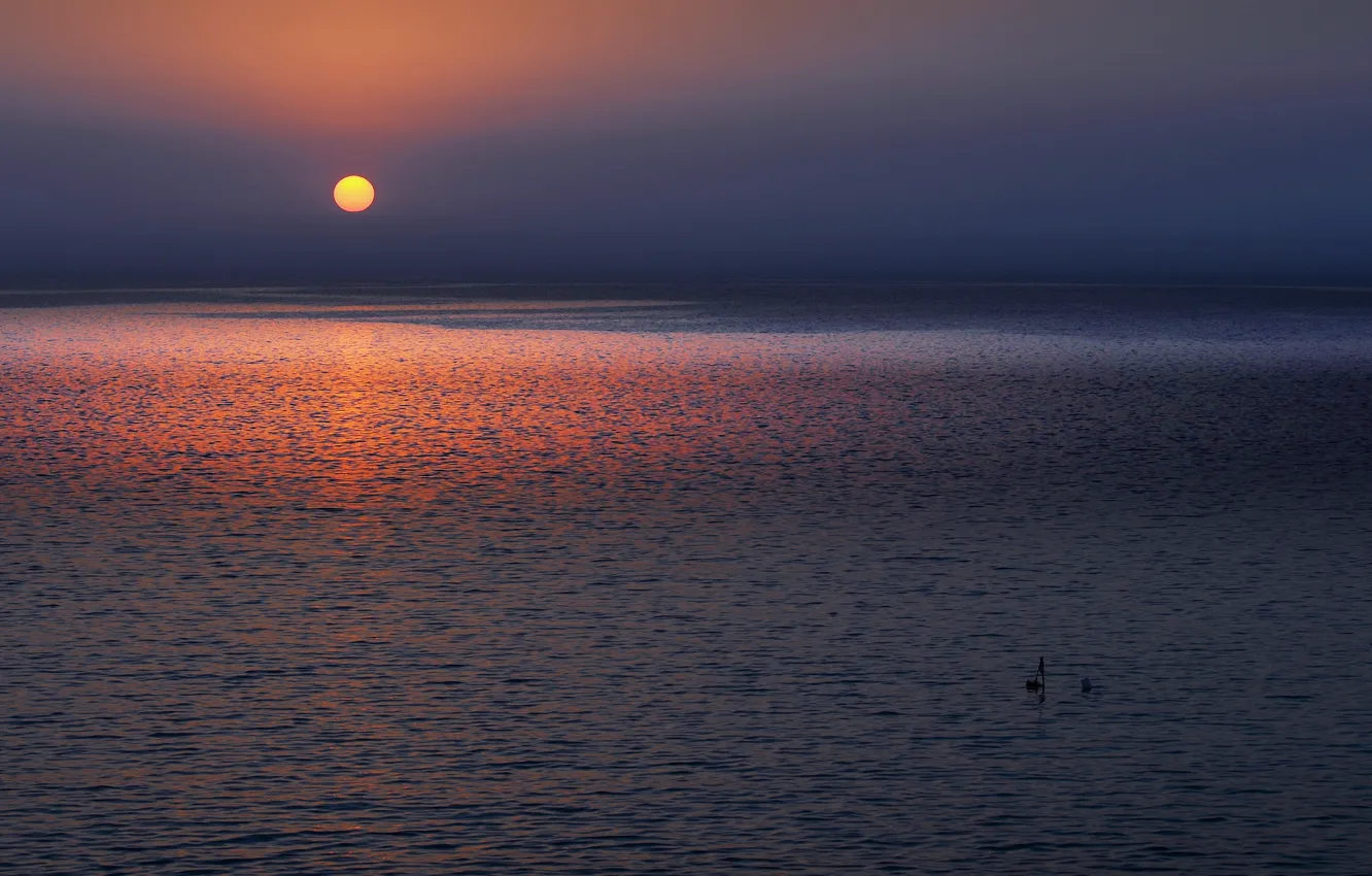 Photo wallpaper sea, the sun, island, morning, Cyprus, Cyprus, the Mediterranean