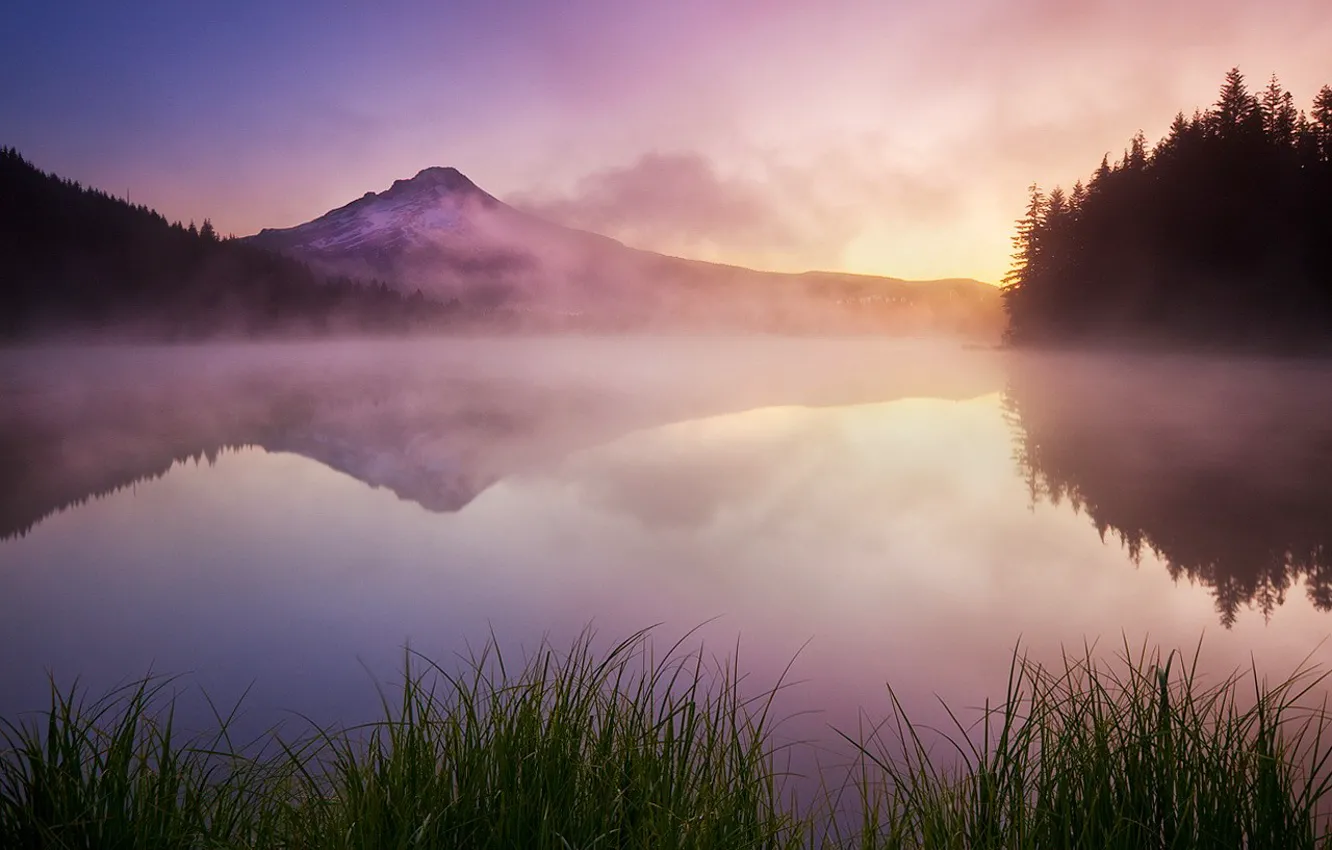 Photo wallpaper grass, mountains, fog, lake