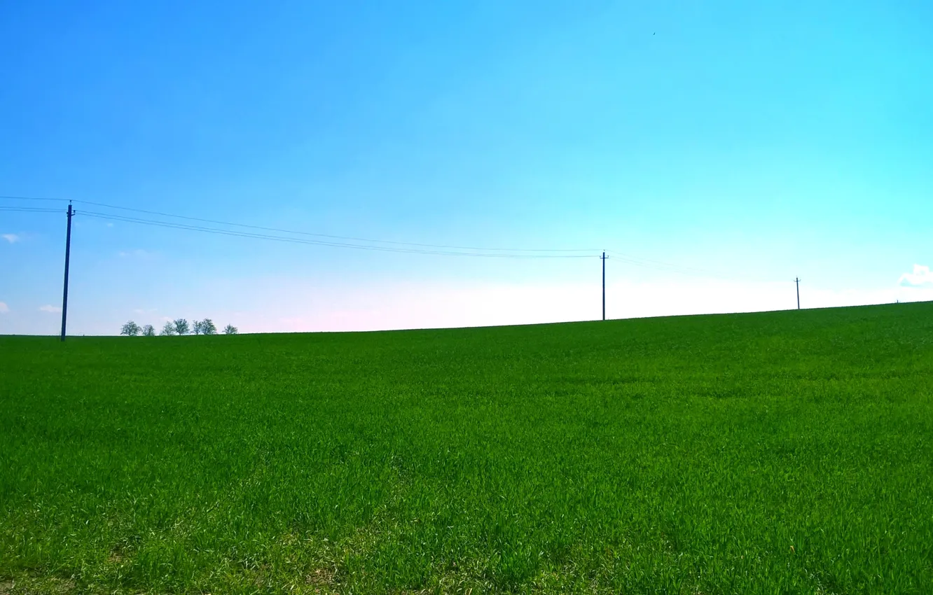 Photo wallpaper greens, field, the sky, line, blue, spring, green, bright