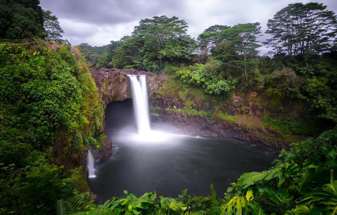Photo wallpaper forest, trees, rock, tropics, waterfall, Hawaii, USA, Hilo
