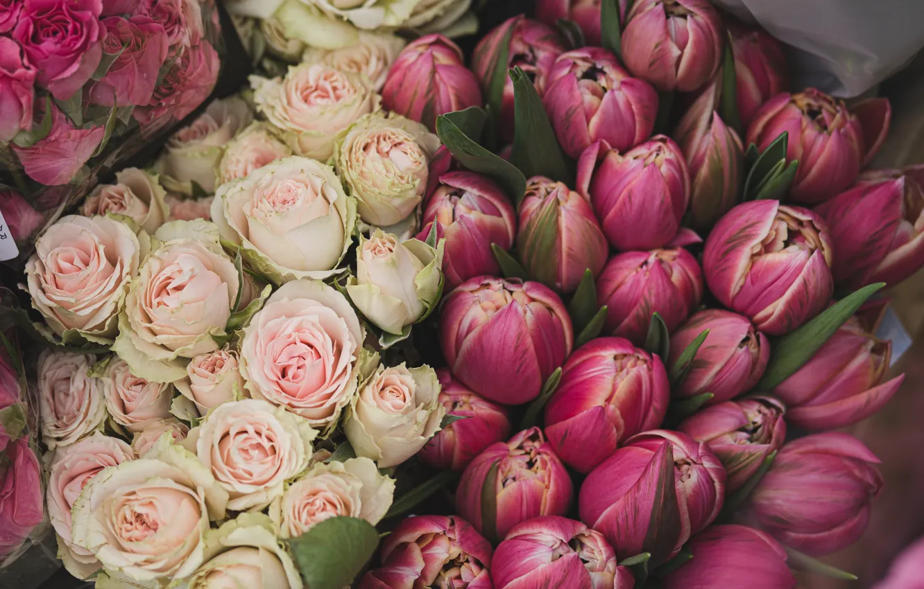 Photo wallpaper flowers, roses, bouquet, spring, tulips, pink, a lot