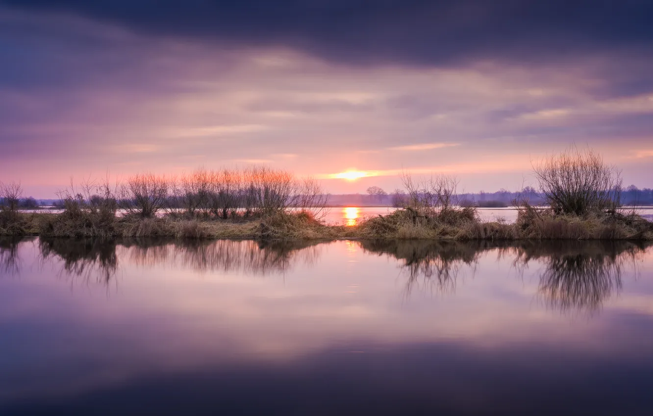 Photo wallpaper the sky, the sun, clouds, sunset, branches, reflection, shore, pond