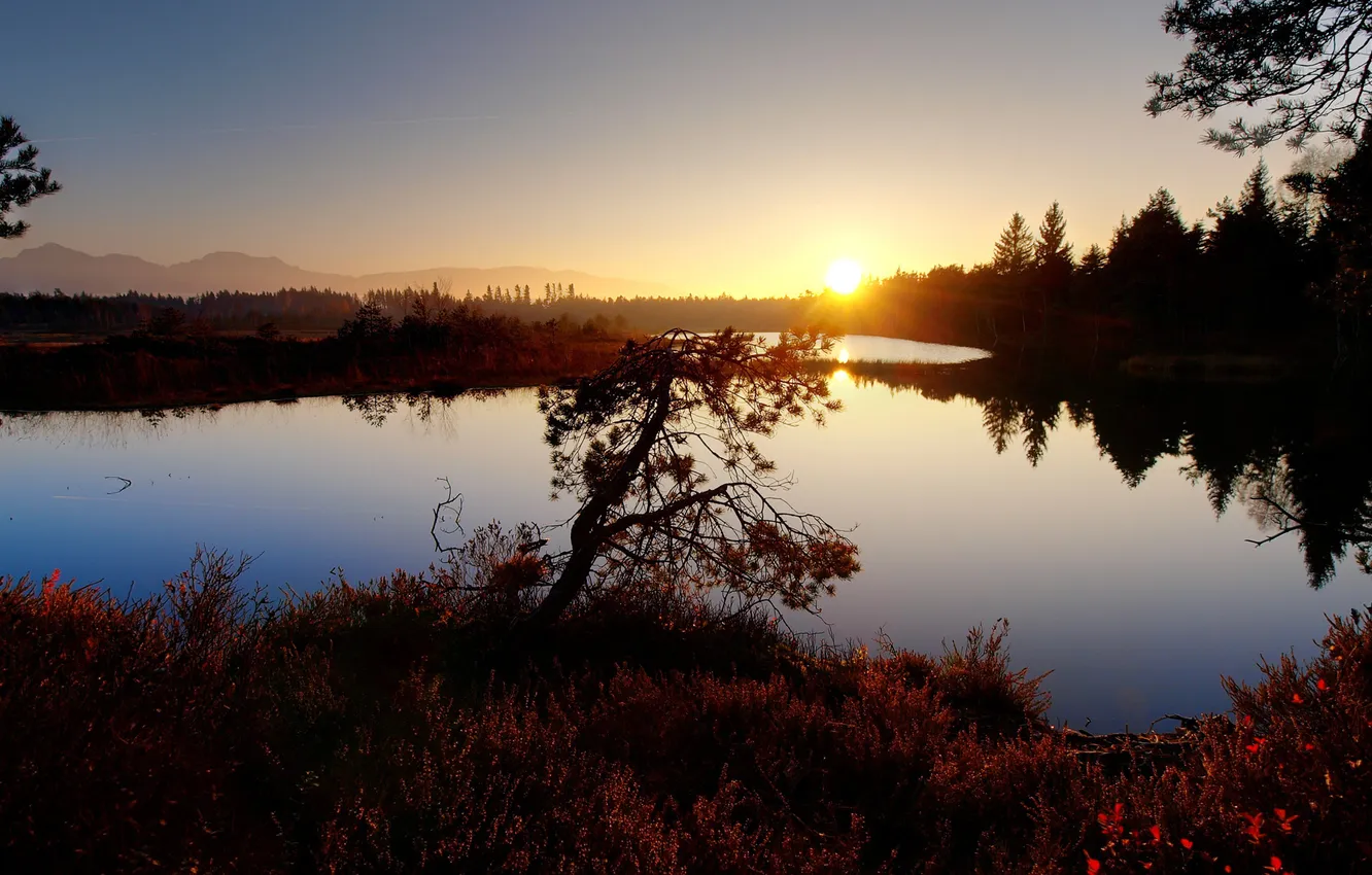 Photo wallpaper autumn, trees, sunset, lake, surface