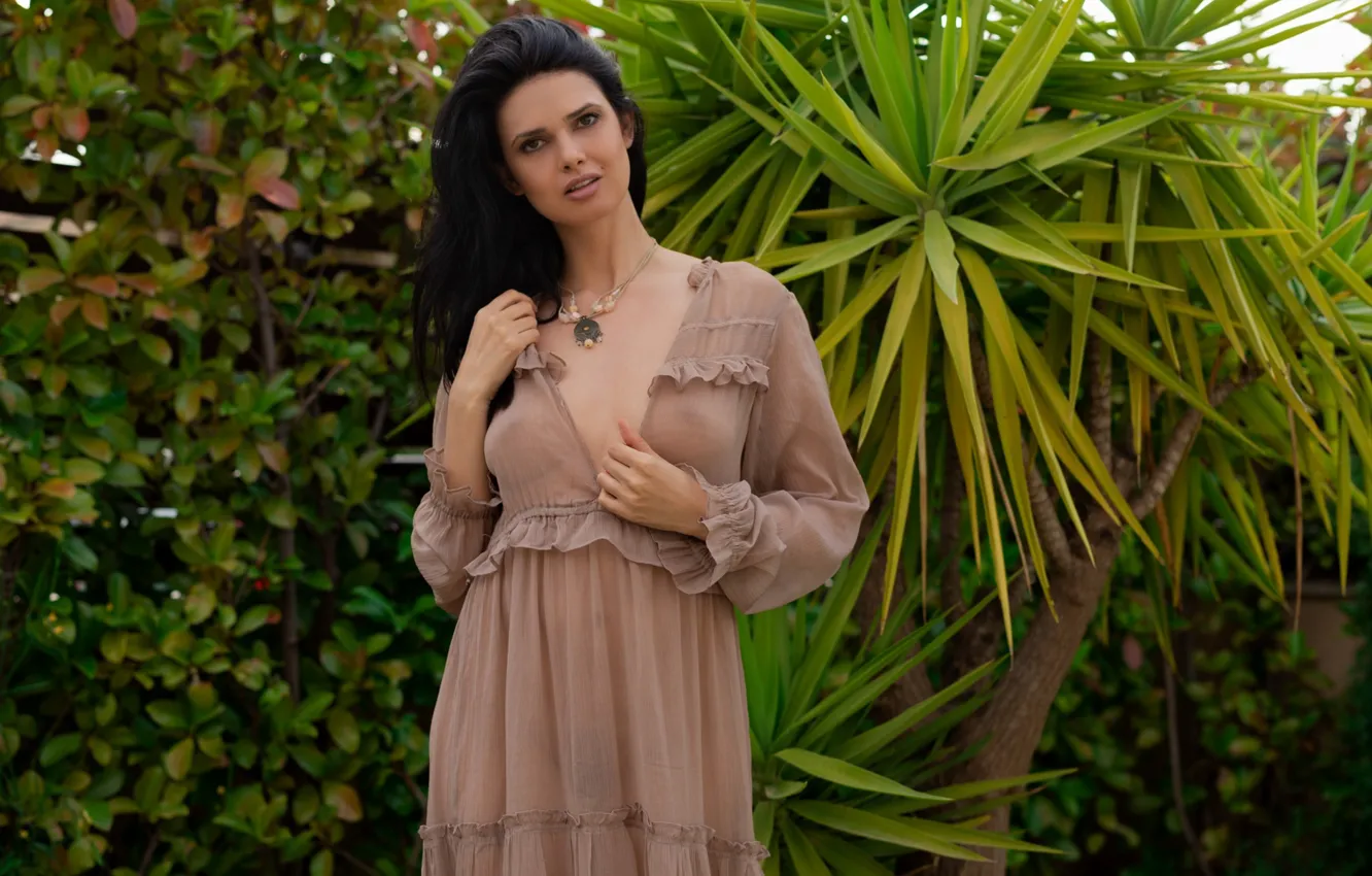 Photo wallpaper forest, girl, Clio