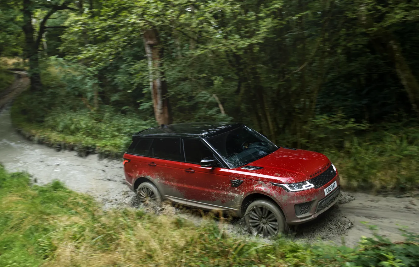 Photo wallpaper road, forest, water, movement, vegetation, dirt, SUV, Land Rover