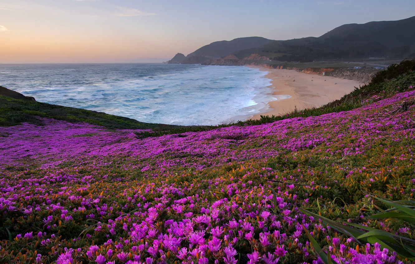 Photo wallpaper sea, flowers, mountains, shore, pink