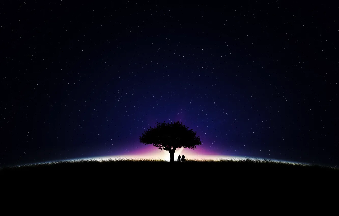 Photo wallpaper the sky, stars, trees, night
