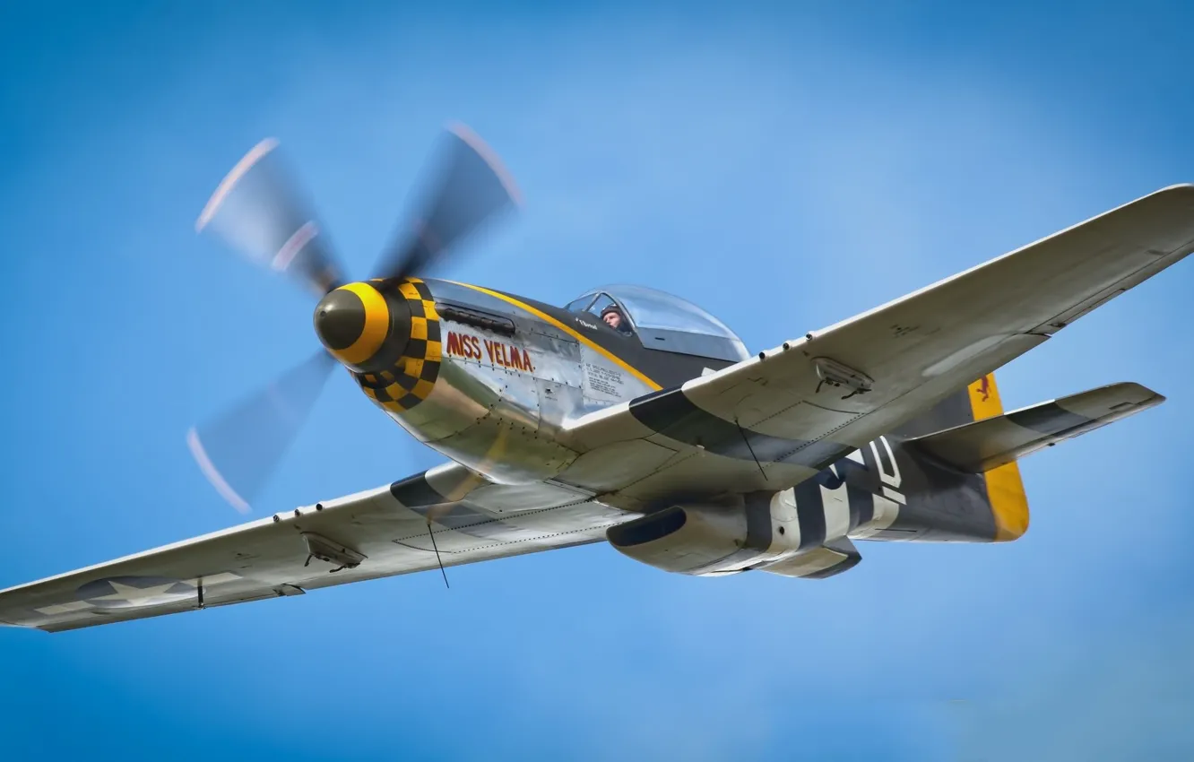 Photo wallpaper the sky, screw, the plane, P-51D Mustang